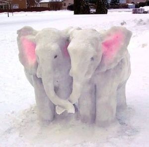 Meet your Posher, Bambi